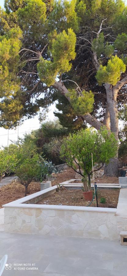 Villa Francesca Appartamento Meraviglioso Polignano a Mare Zewnętrze zdjęcie